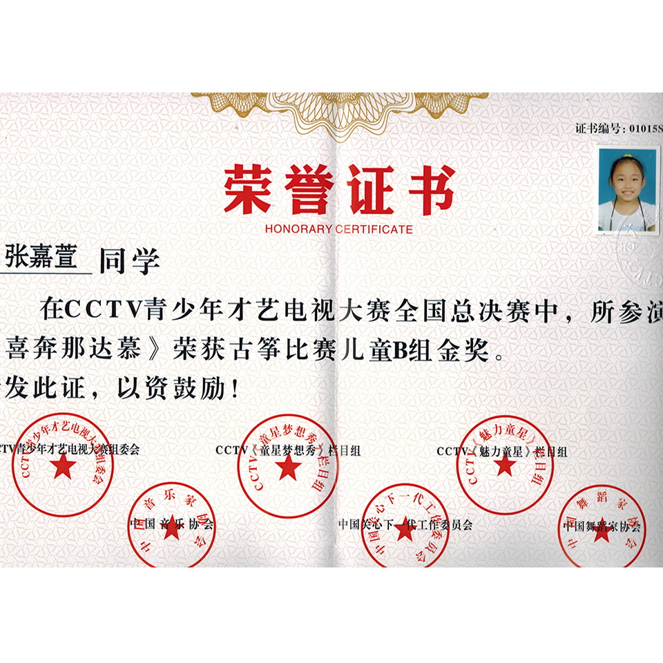 张嘉萱—CCTV青少年才艺电视大赛金奖