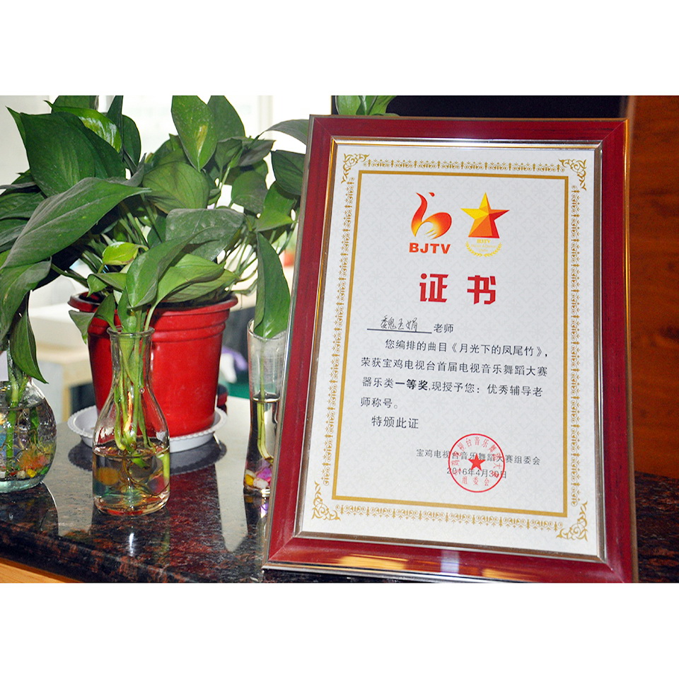 魏玉娟老师—“宝鸡电视台电视音乐舞蹈大赛”优秀辅导老师