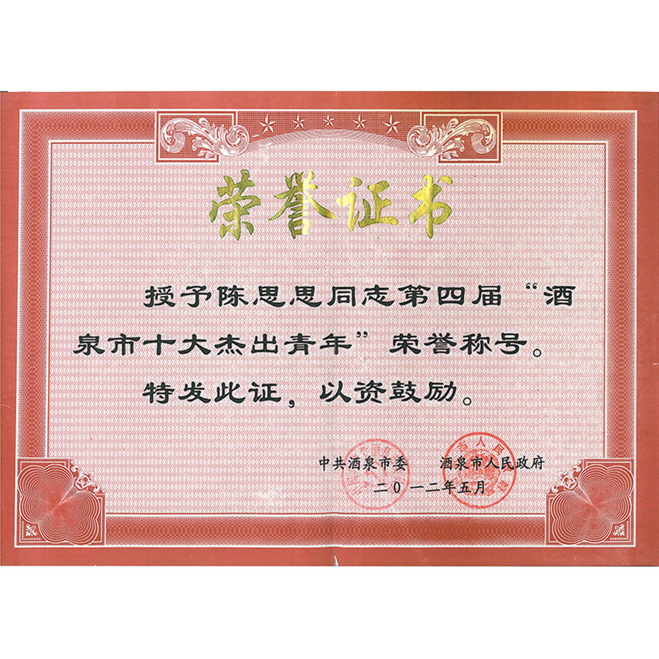 陈思思—第四届“酒泉市十大杰出青年”