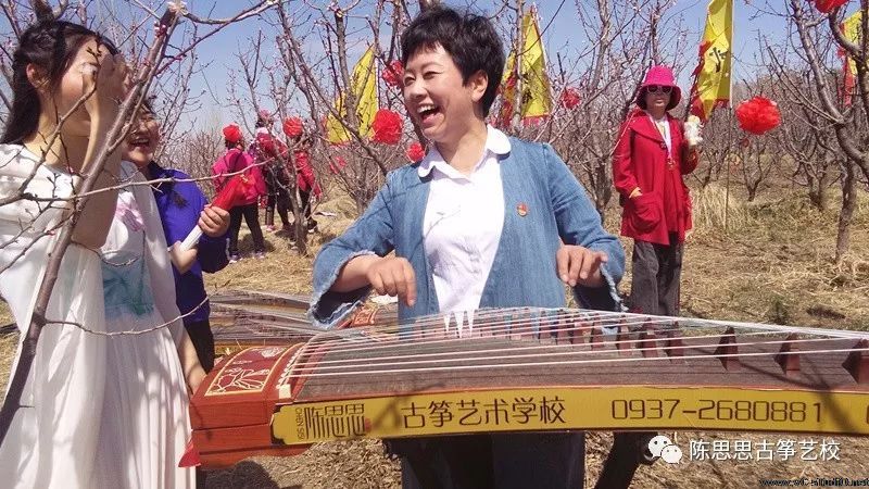 满阶芳草绿，一片杏花香——陈思思古筝艺校与杏花的完美邂逅！