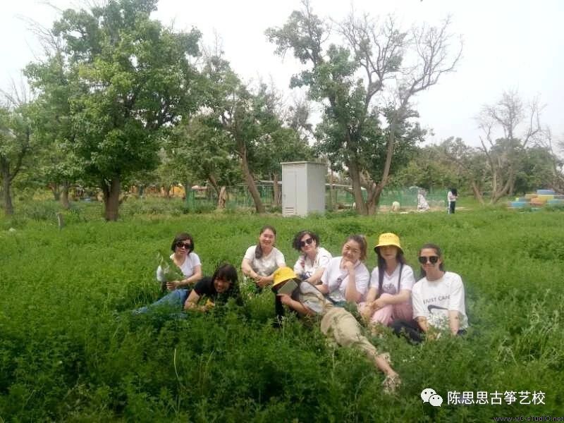 陈思思古筝艺校第三届“筝途”系列活动开始啦！