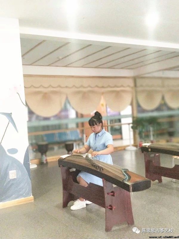 陈思思古筝艺校“教师队伍考核”开始啦!