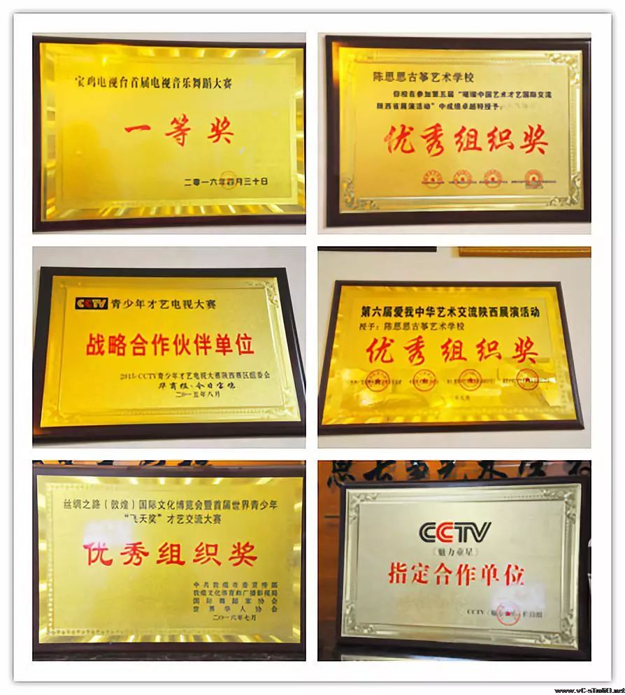 陈思思古筝艺校——宝鸡校区