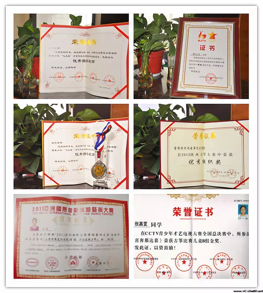 陈思思古筝艺校——宝鸡校区
