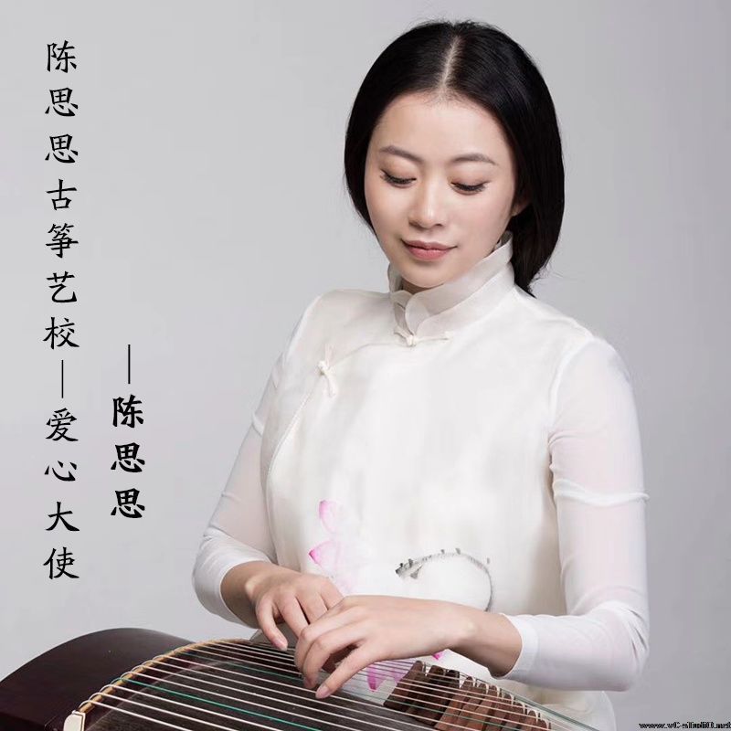 陈思思古筝艺校关爱贫困留守儿童公益行动