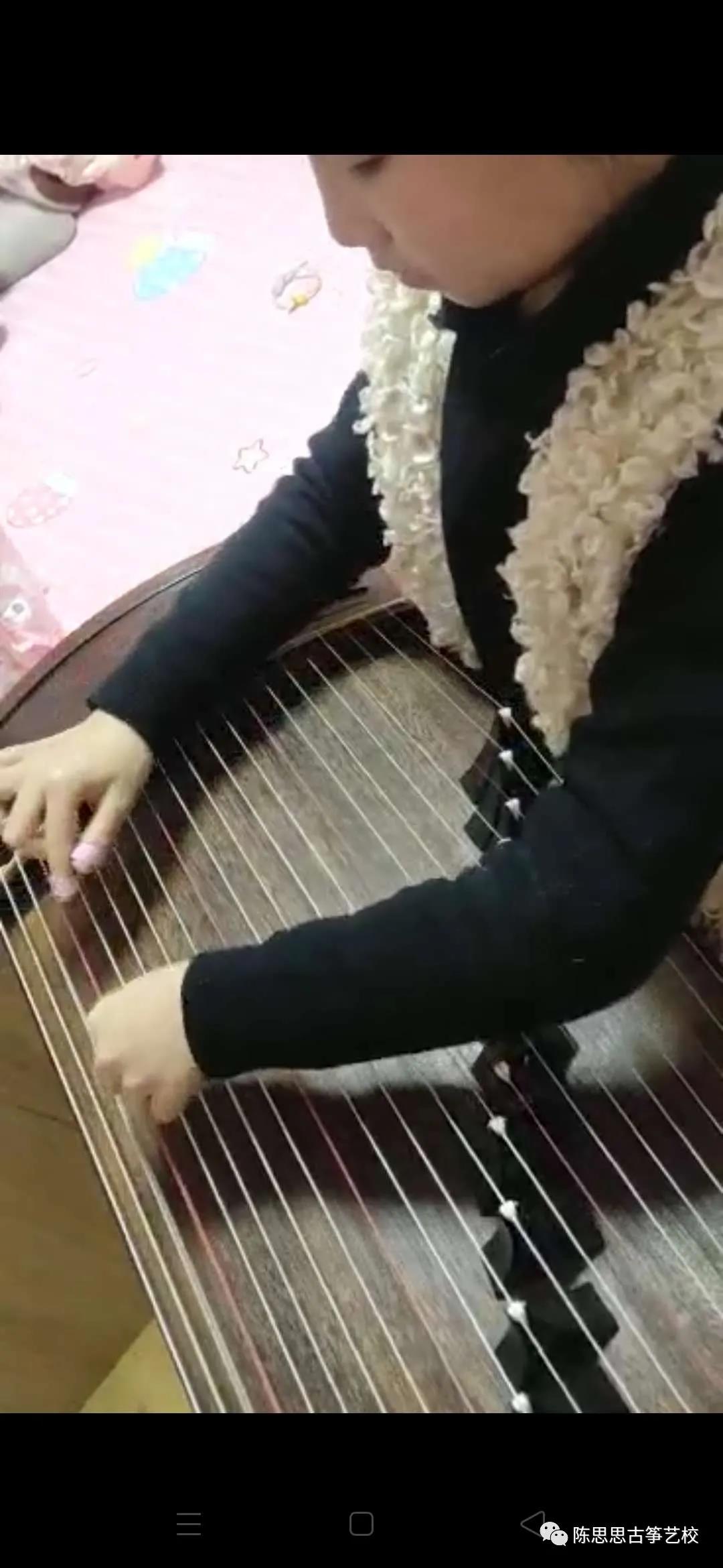 “筝”心相伴，共抗疫情——陈思思古筝艺校宝鸡校区