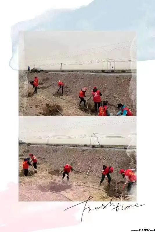 陈思思艺术学校一王门分校巾帼志愿者春风十里•正“植”有你植树活动