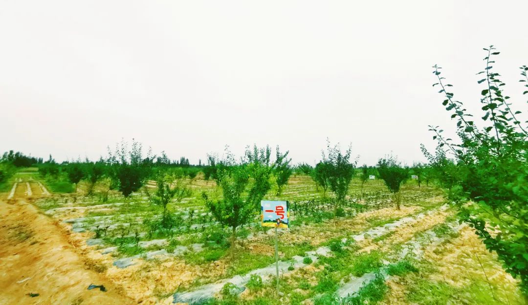 “农耕文化，与自然共生”，陈思思艺术学校农耕研学基地考察之行