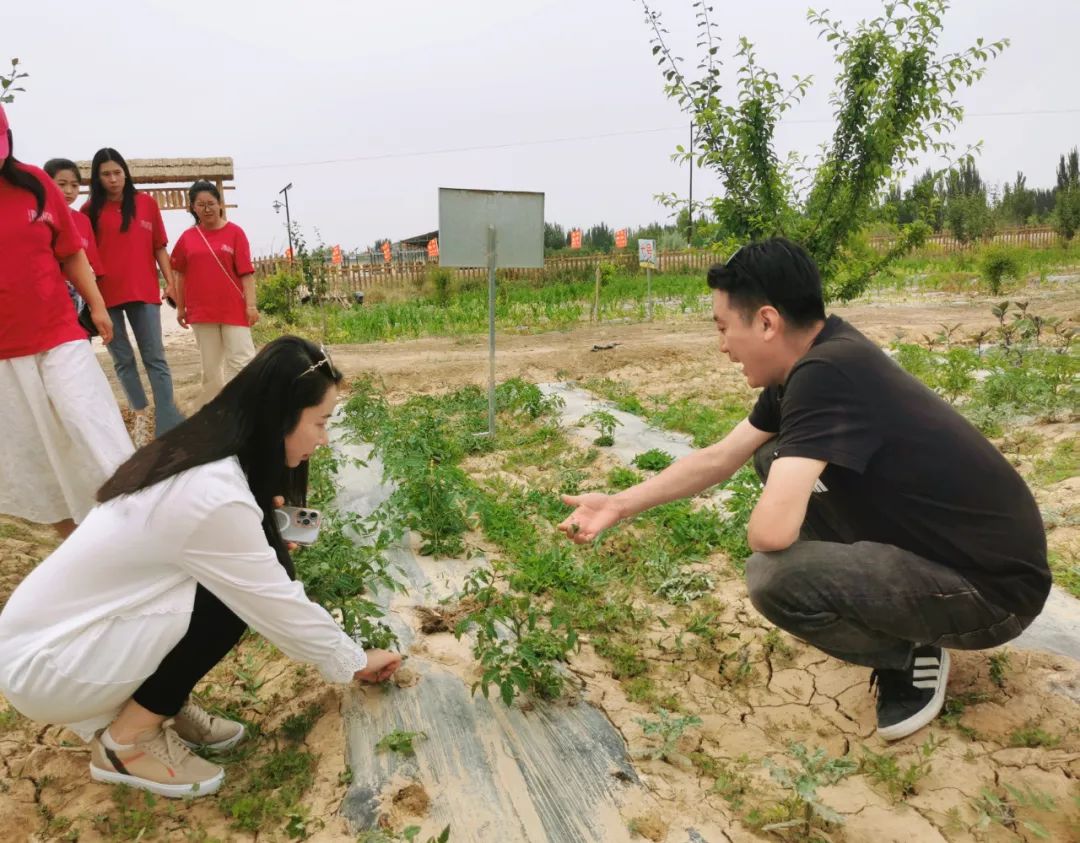 “农耕文化，与自然共生”，陈思思艺术学校农耕研学基地考察之行