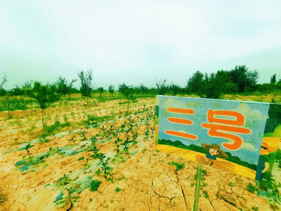 “农耕文化，与自然共生”，陈思思艺术学校农耕研学基地考察之行